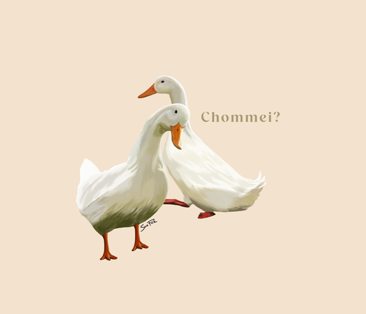 Chommie Ducks Cotton Drawstring Pouch